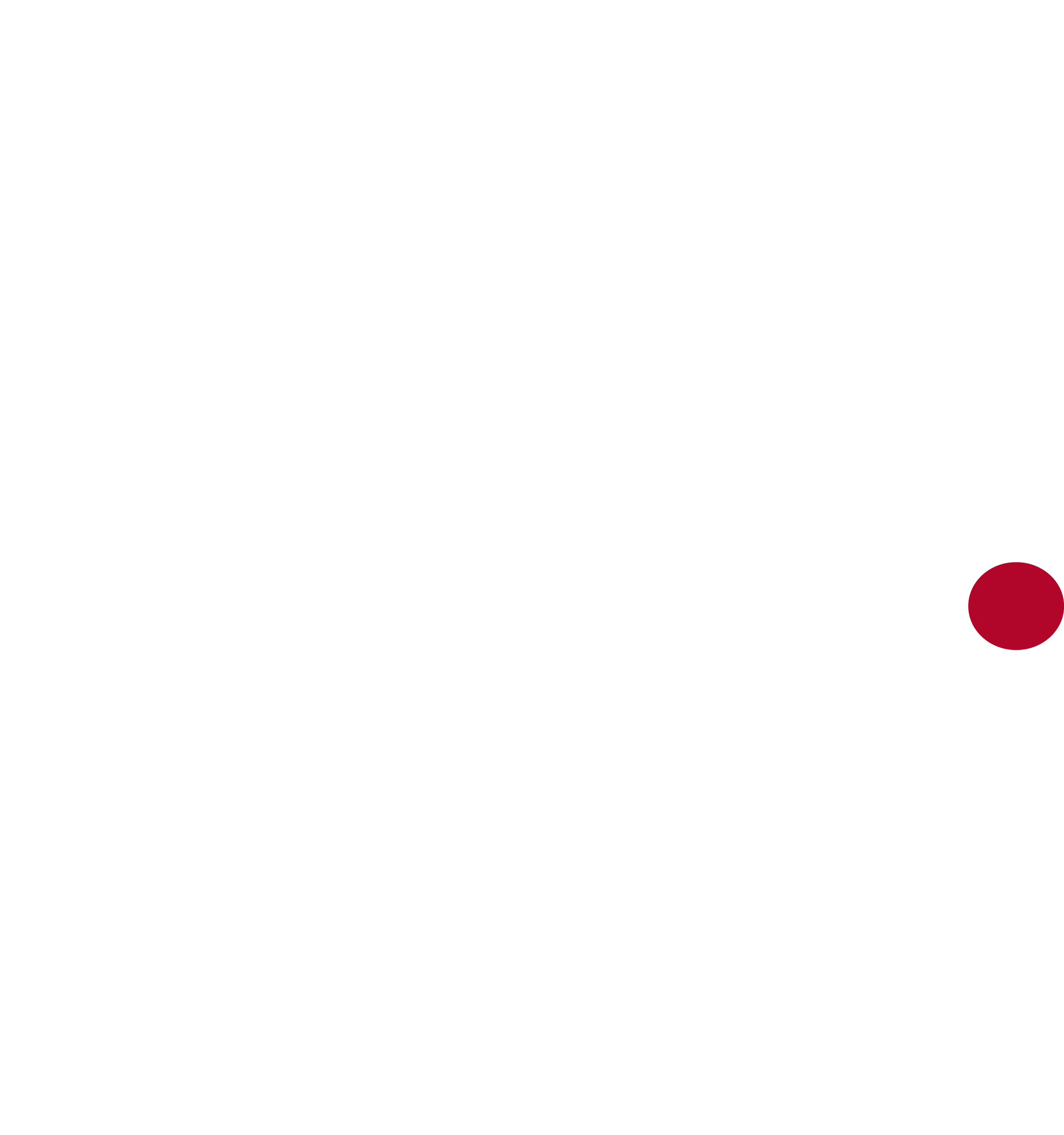 TAMI DOGBOX