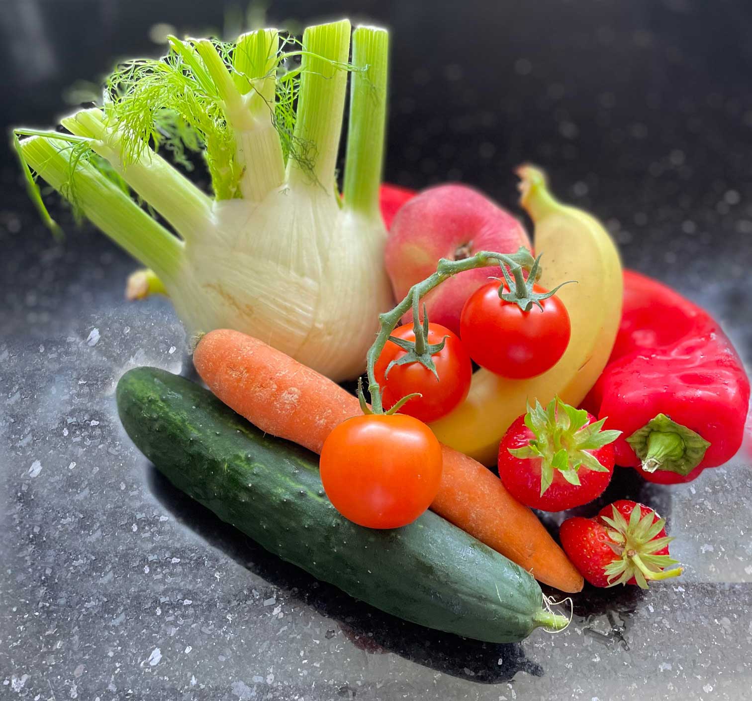 Gemüse Salat Und Obst Für Hunde Selber Kochen