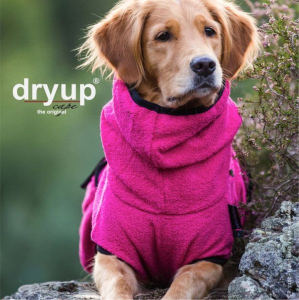 Dryup Cape Pink