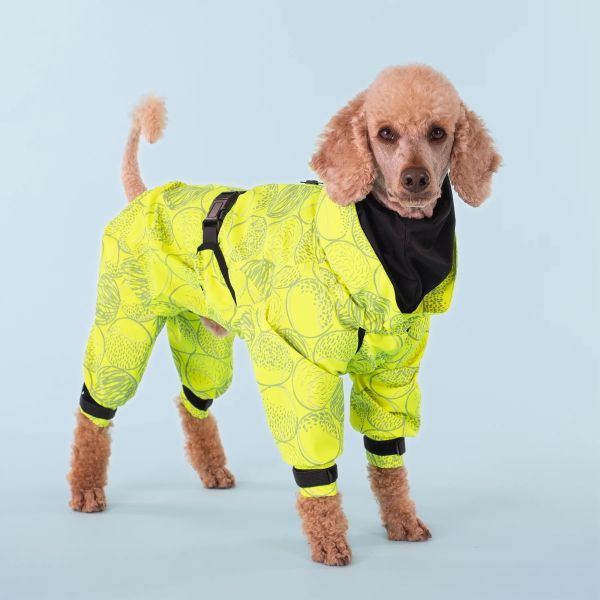 PAIKKA Rain Suit für Hunde - Regenmantel langbeinig