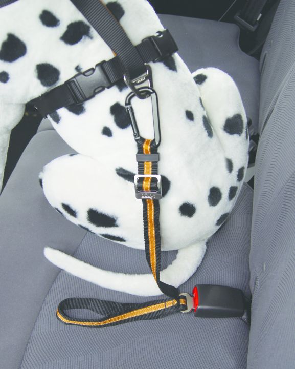 Kurgo Seatbelt Tether Sicherheitsgurt für Hunde - blau/schwarz