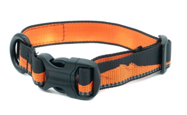 Non-stop dogwear Trail quest collar sunrise black/orange