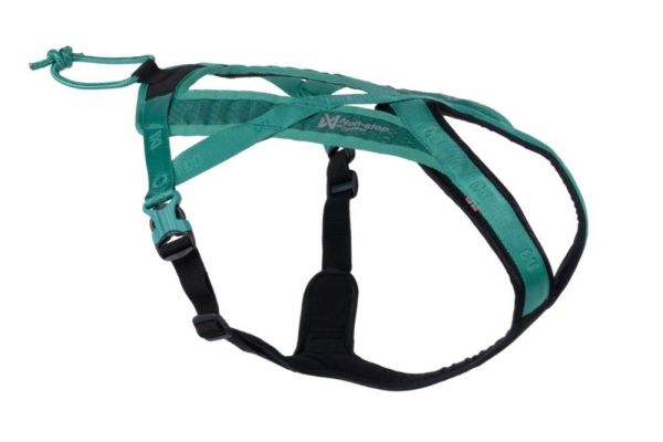 Non-stop dogwear Rush harness Canicross-Kurzgeschirr Schwarz - Teal / Türkis