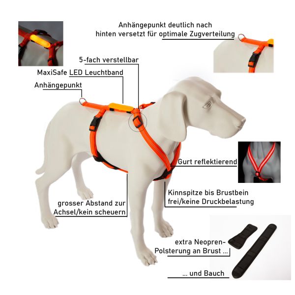 Mantrailing- Suchgeschirr für Hunde Profi mit LED Leuchte