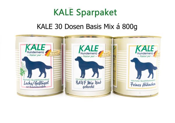 30 X Dosen KALE Basis Mix 800g